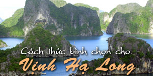 Cách thức bầu chọn